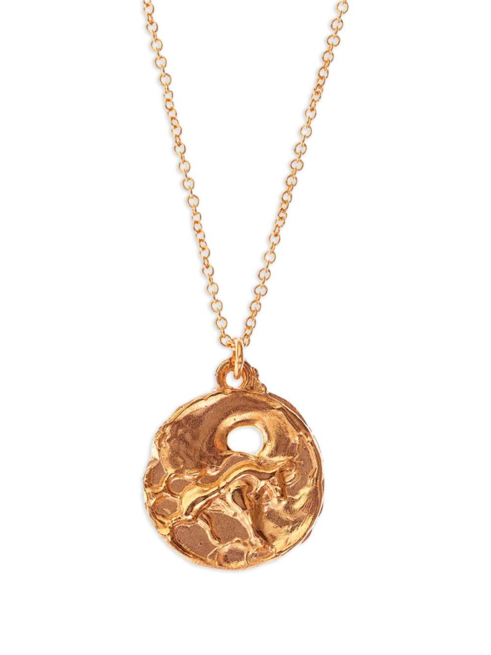 The Taurus Medallion necklace  Product Image