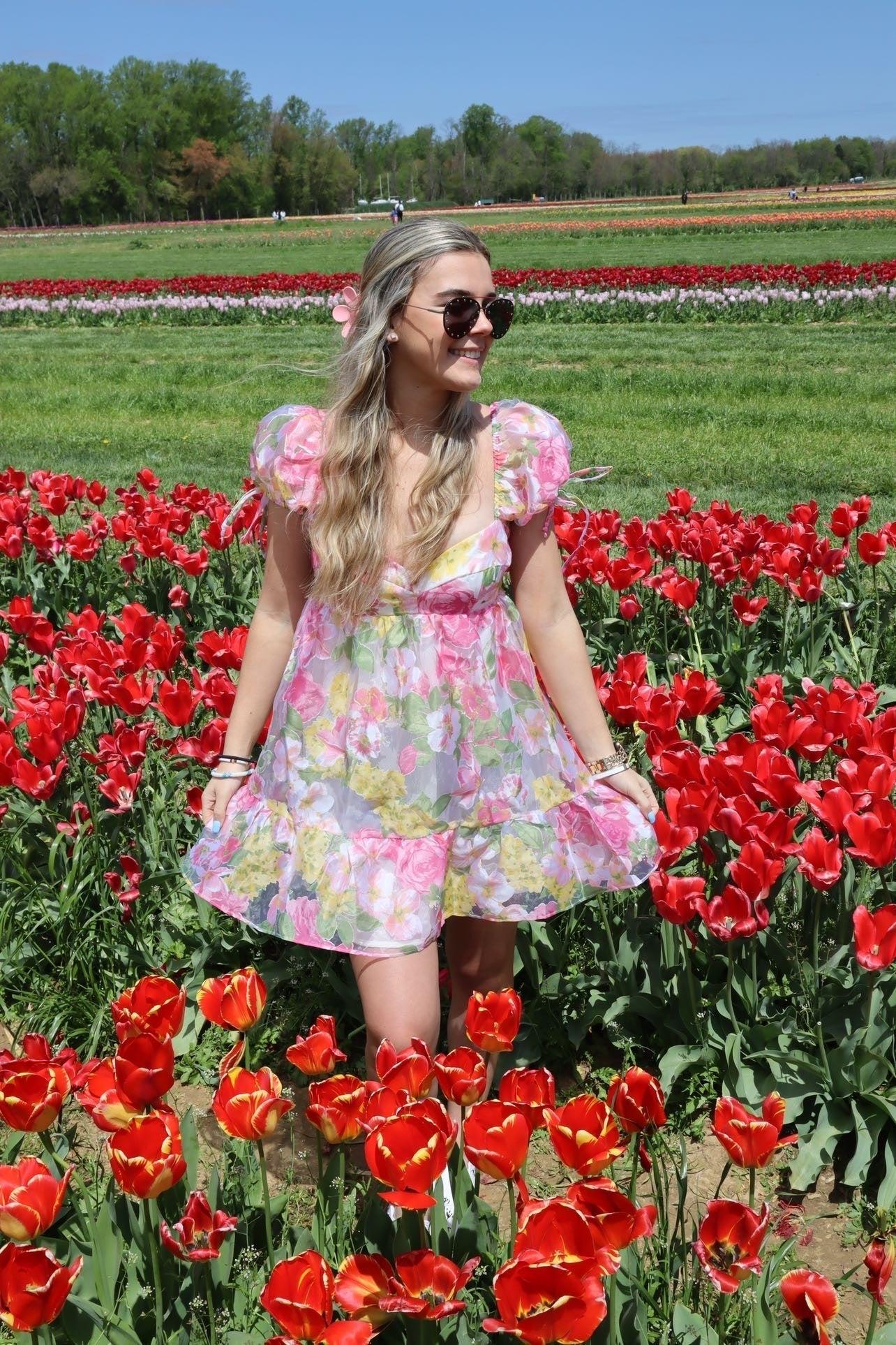 FINAL SALE Bardot Tulle Floral Babydoll Dress Product Image