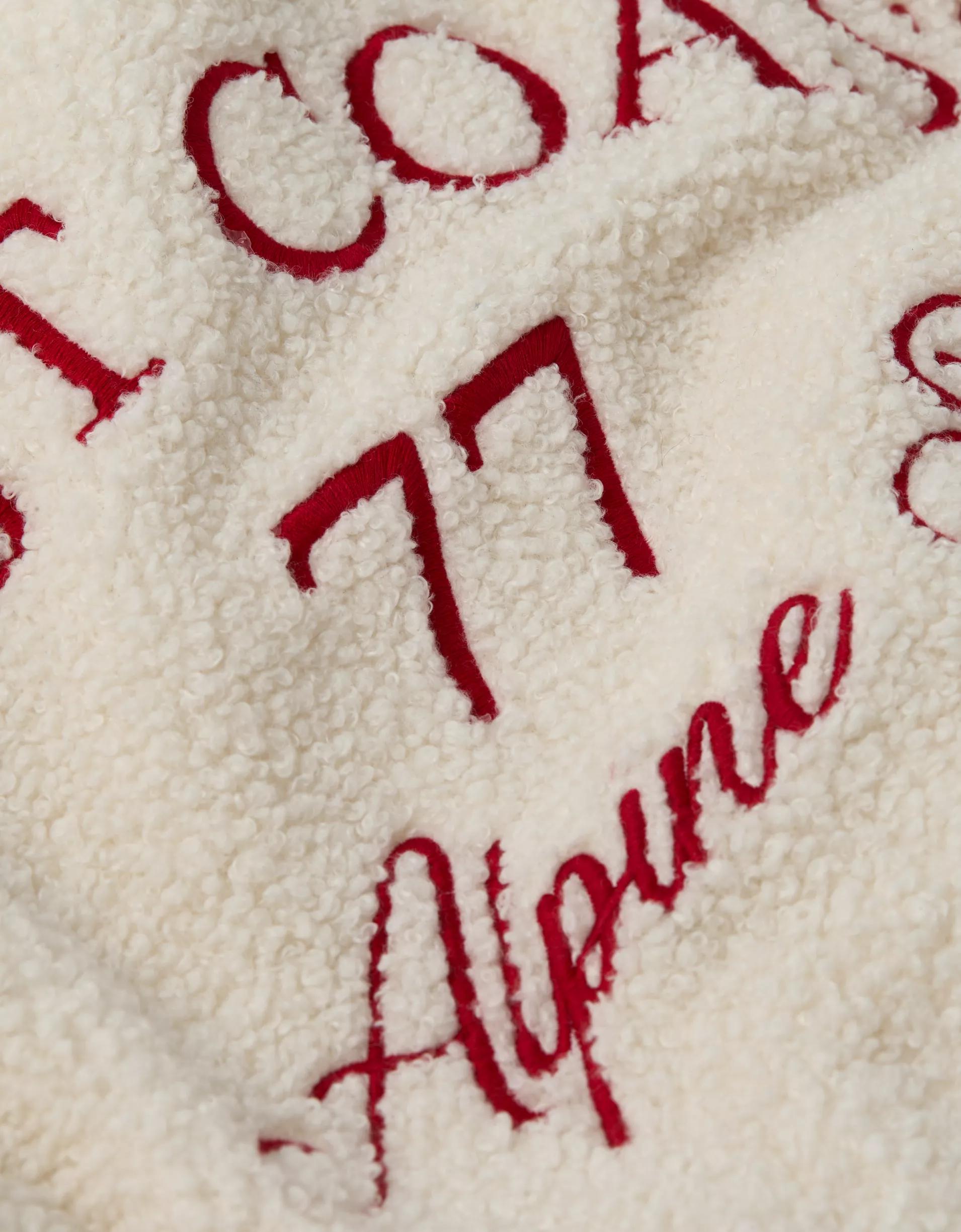 AE Sherpa Fleece Graphic Henley Sweatshirt Product Image