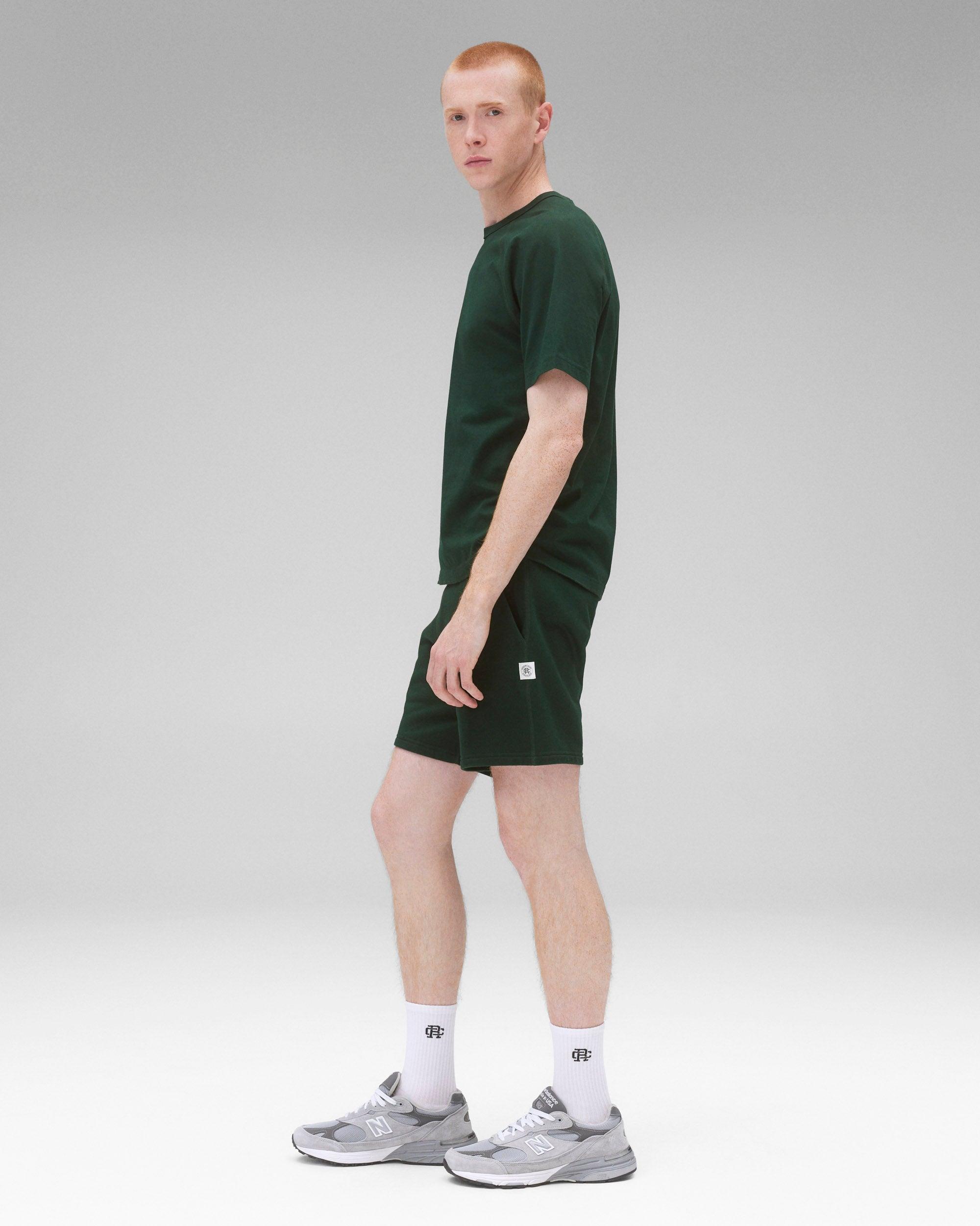 Lightweight Jersey Standard Raglan T-Shirt Male Product Image