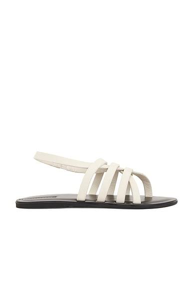 Line Sandal Product Image