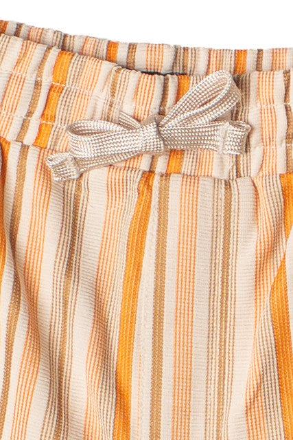 Striped Shorts Product Image