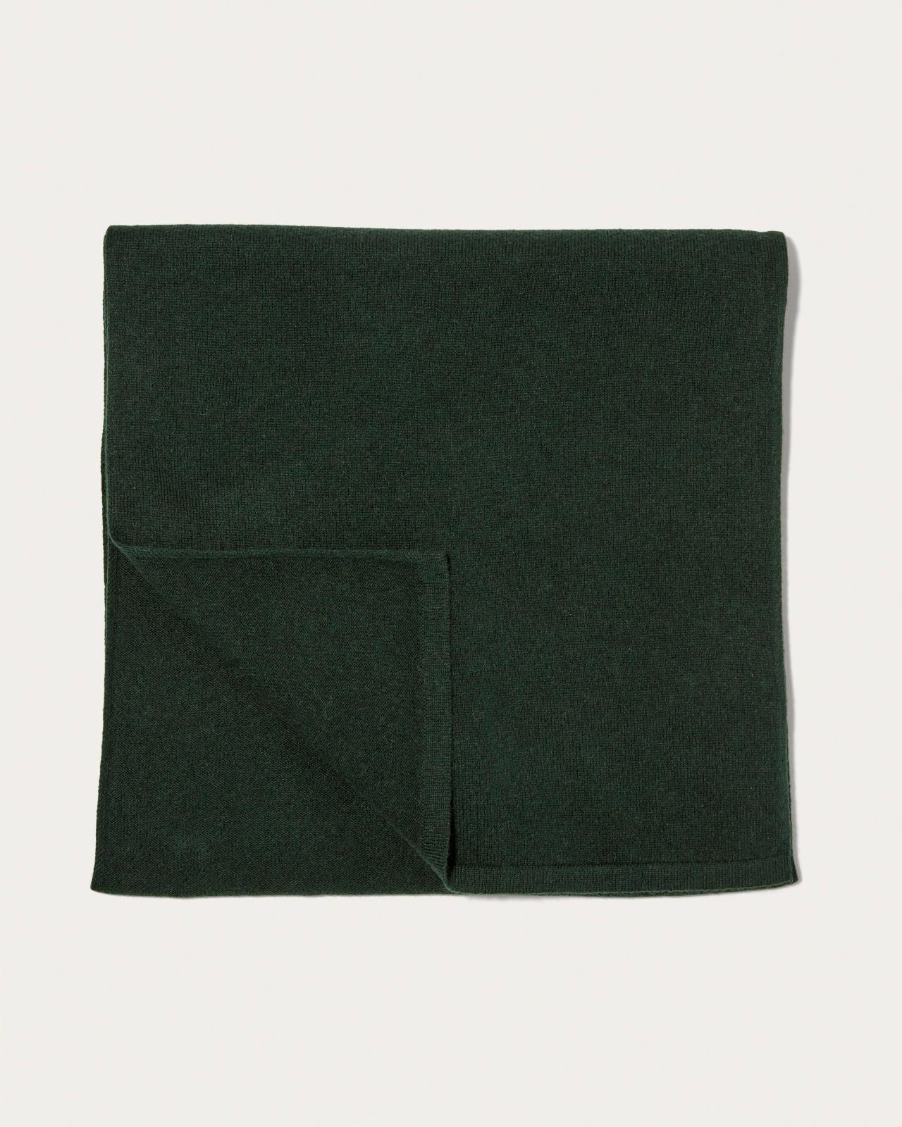 The Cashmere Scarf Product Image
