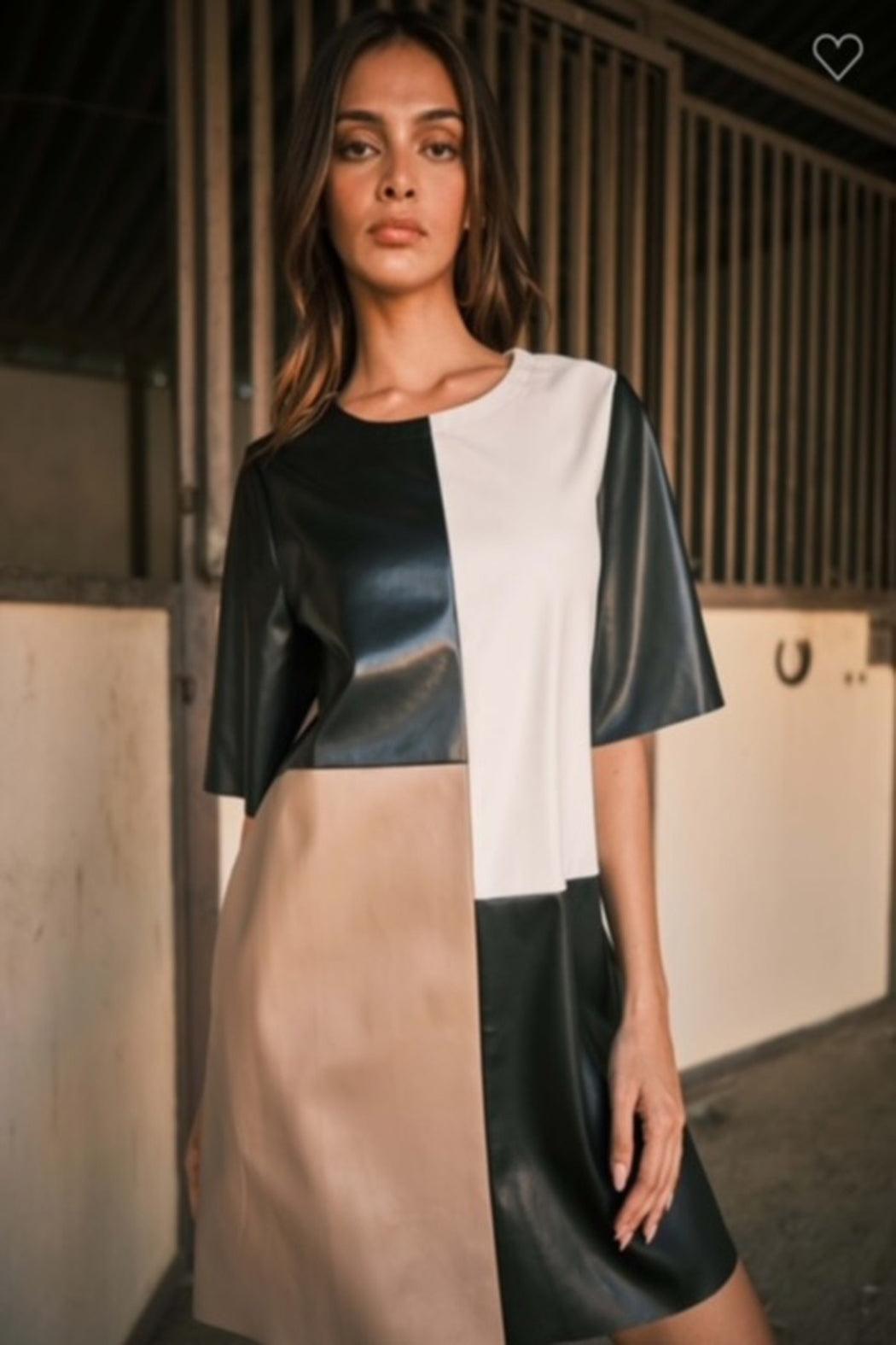 Color Block Dress Product Image