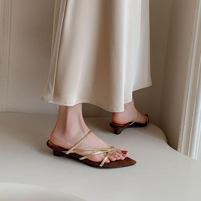 Low Heel Pointed Toe Toe Loop Sandals Product Image