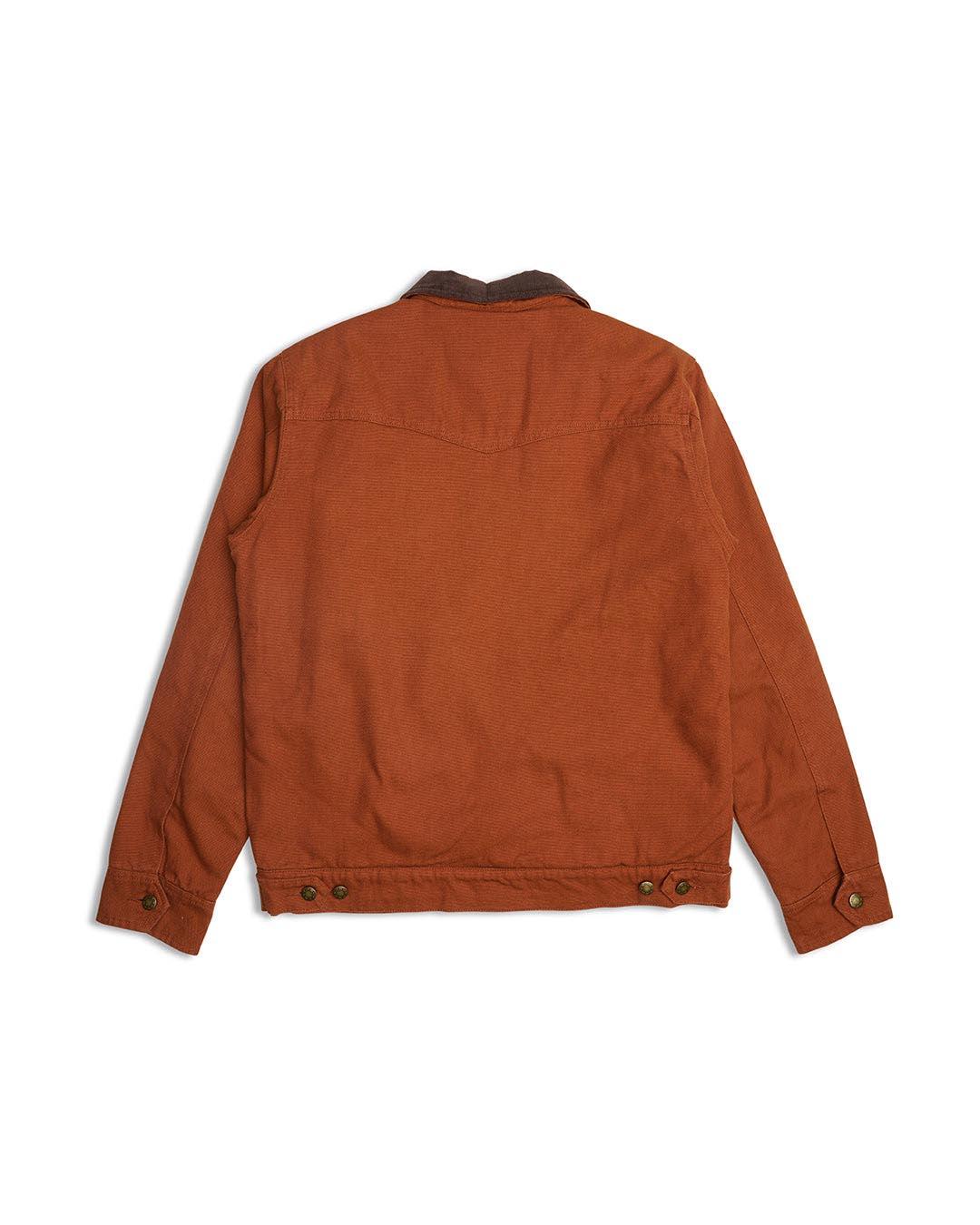 Hawk Canvas Jacket - Tan Product Image