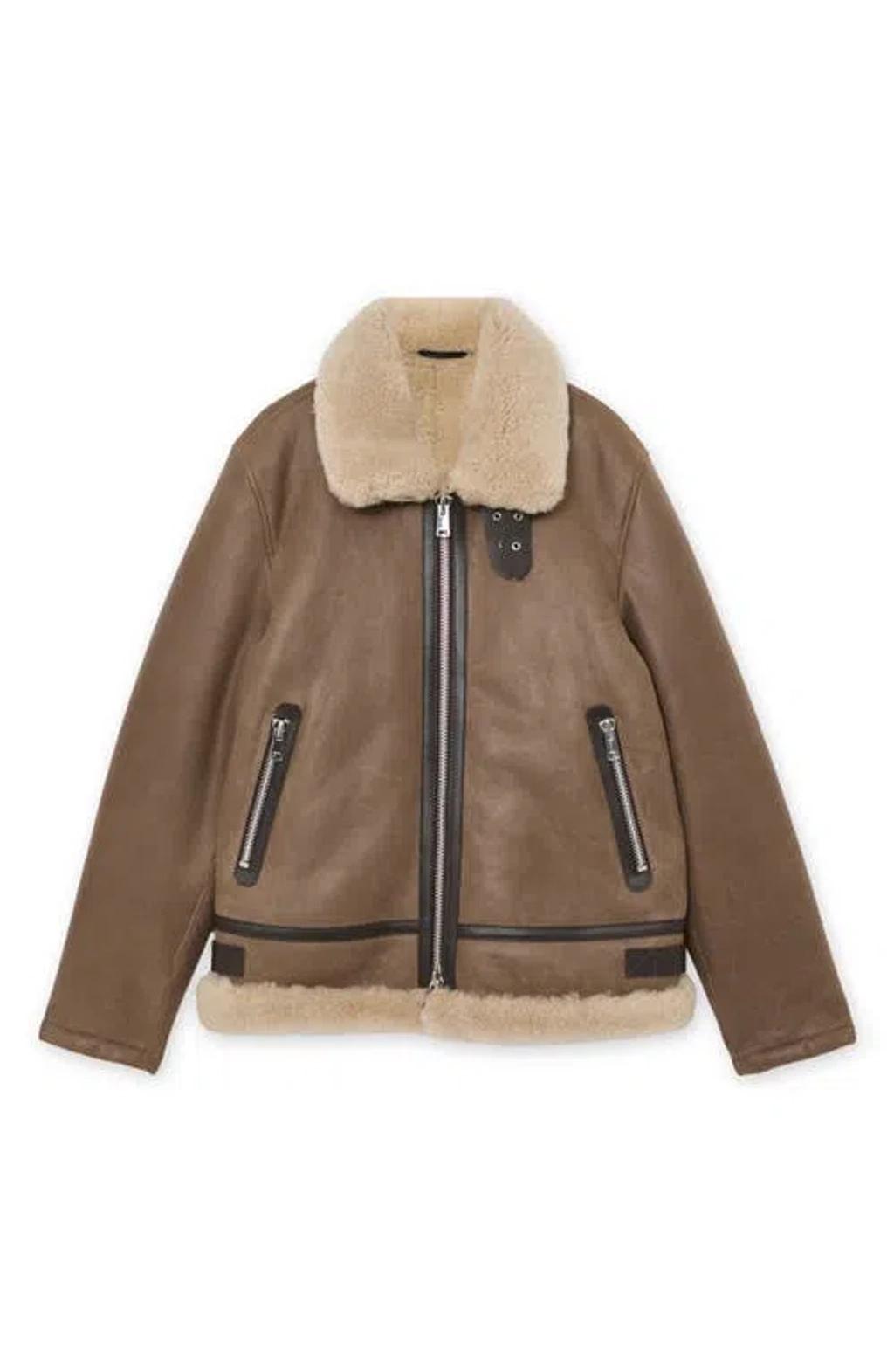 REISS Hardy Genuine Shearling Trim Aviator Jacket In Brown Product Image