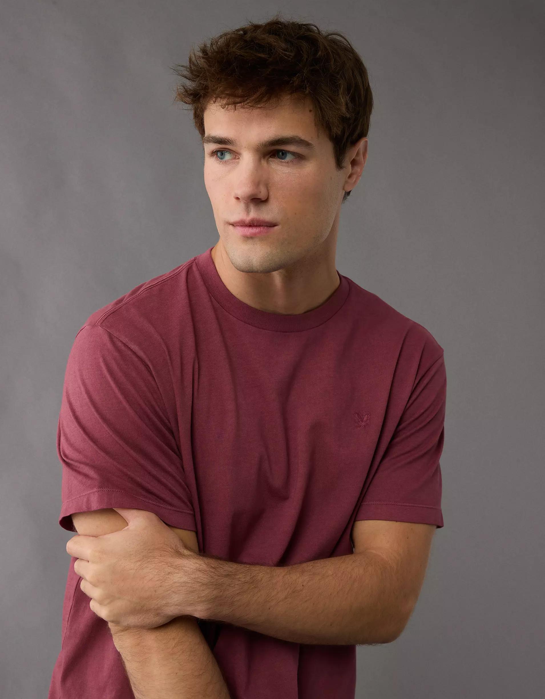 AE Logo Lived-In T-Shirt Product Image