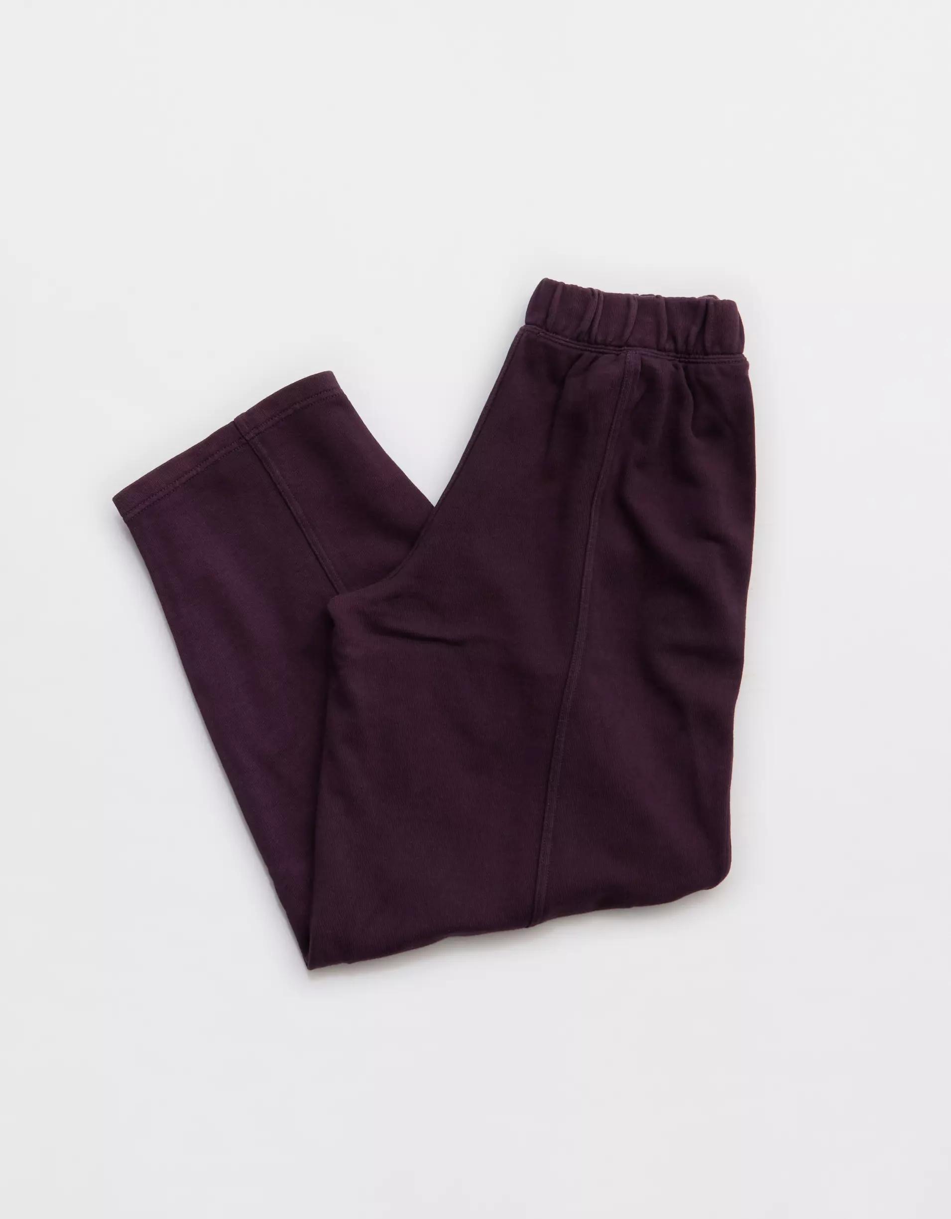 Aerie Seams Right Sweatpant Women's Product Image