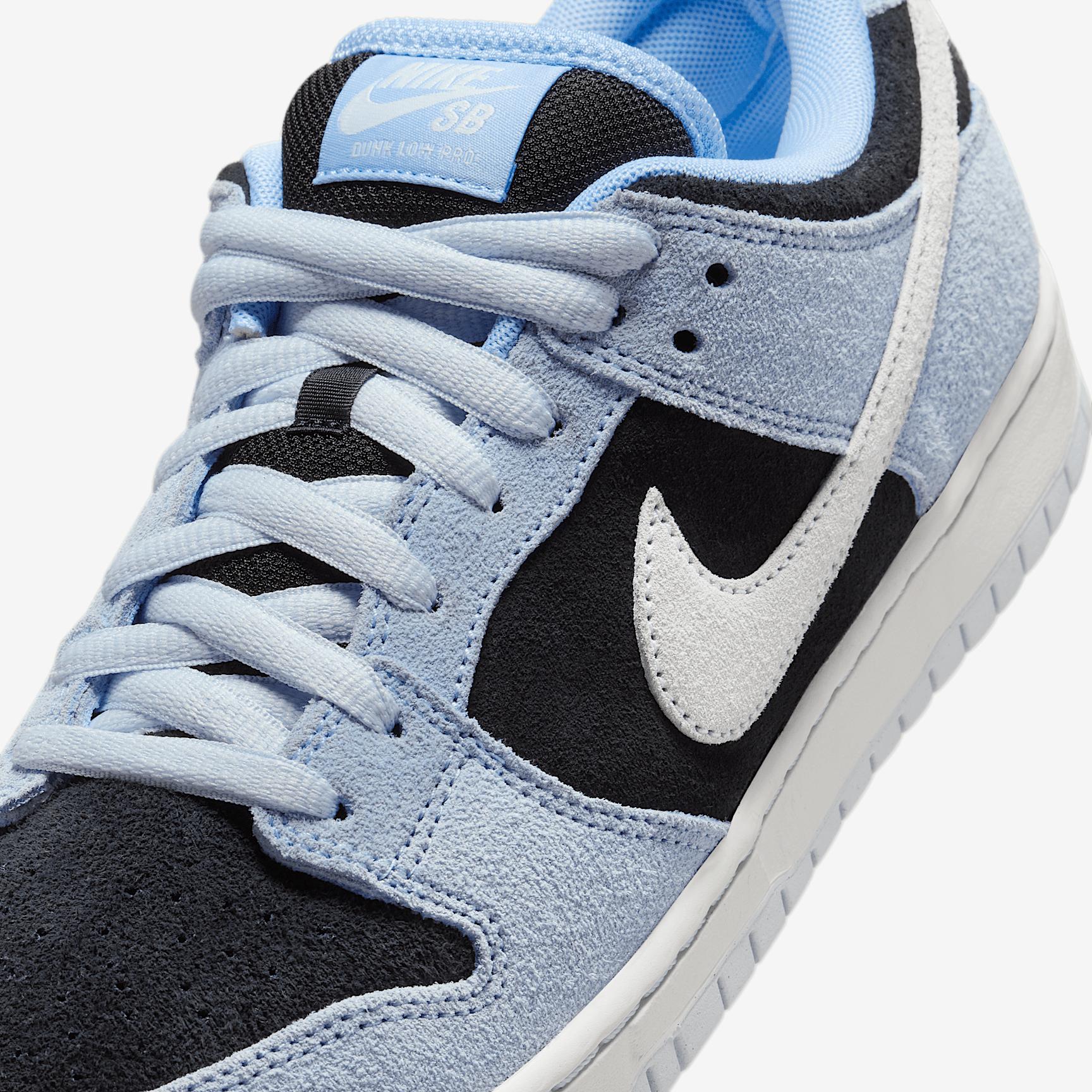 Mens Nike SB Dunk Low Pro Skate Shoes | HF3063-400 Product Image