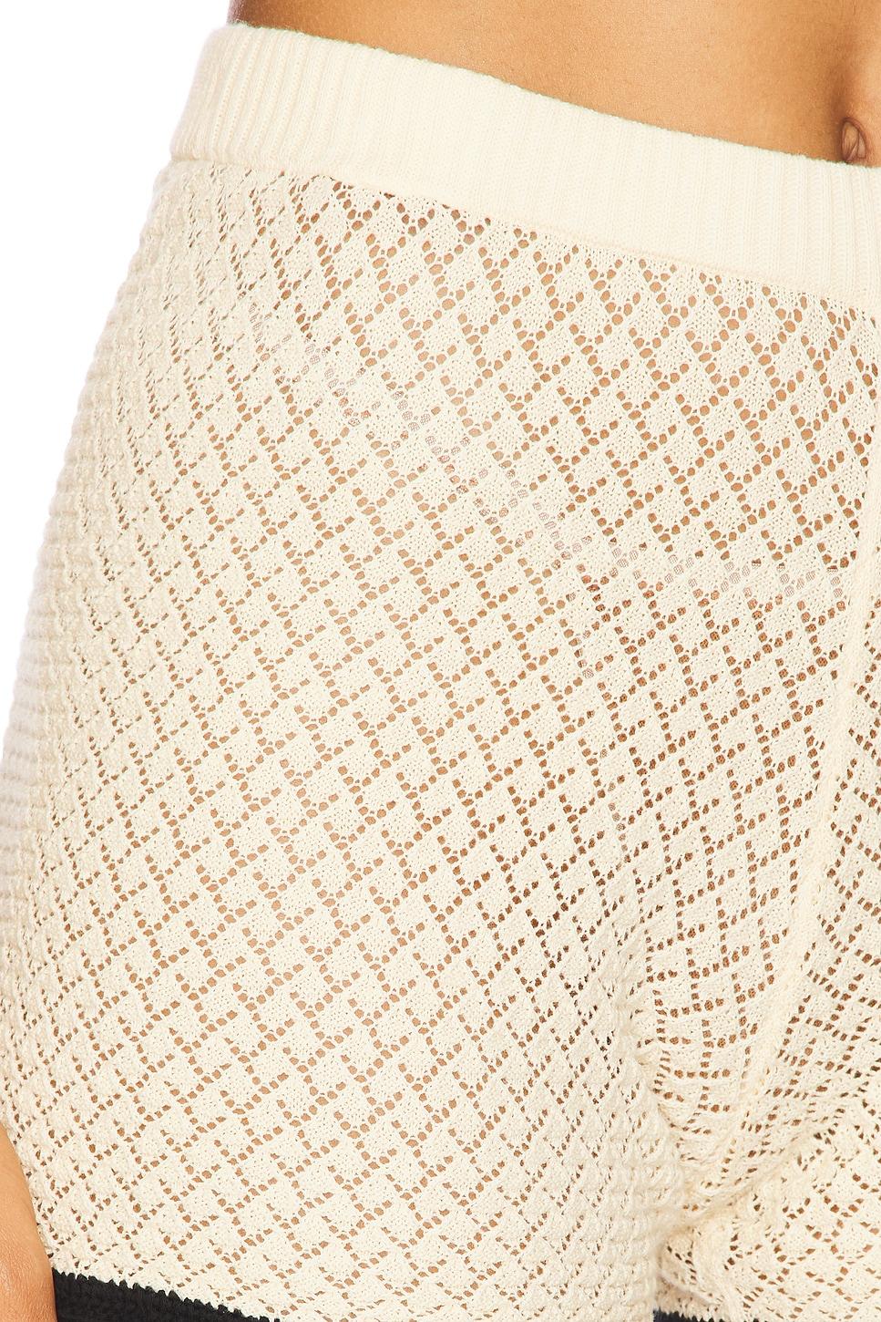 Plage Hot Pants The Garment Product Image