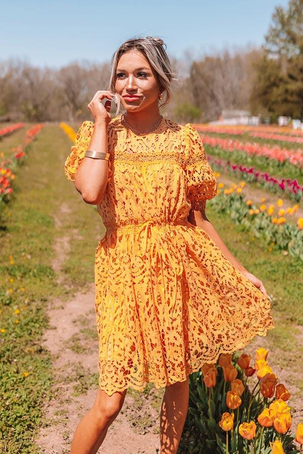 Forever Chic Crochet Mini Dress Product Image