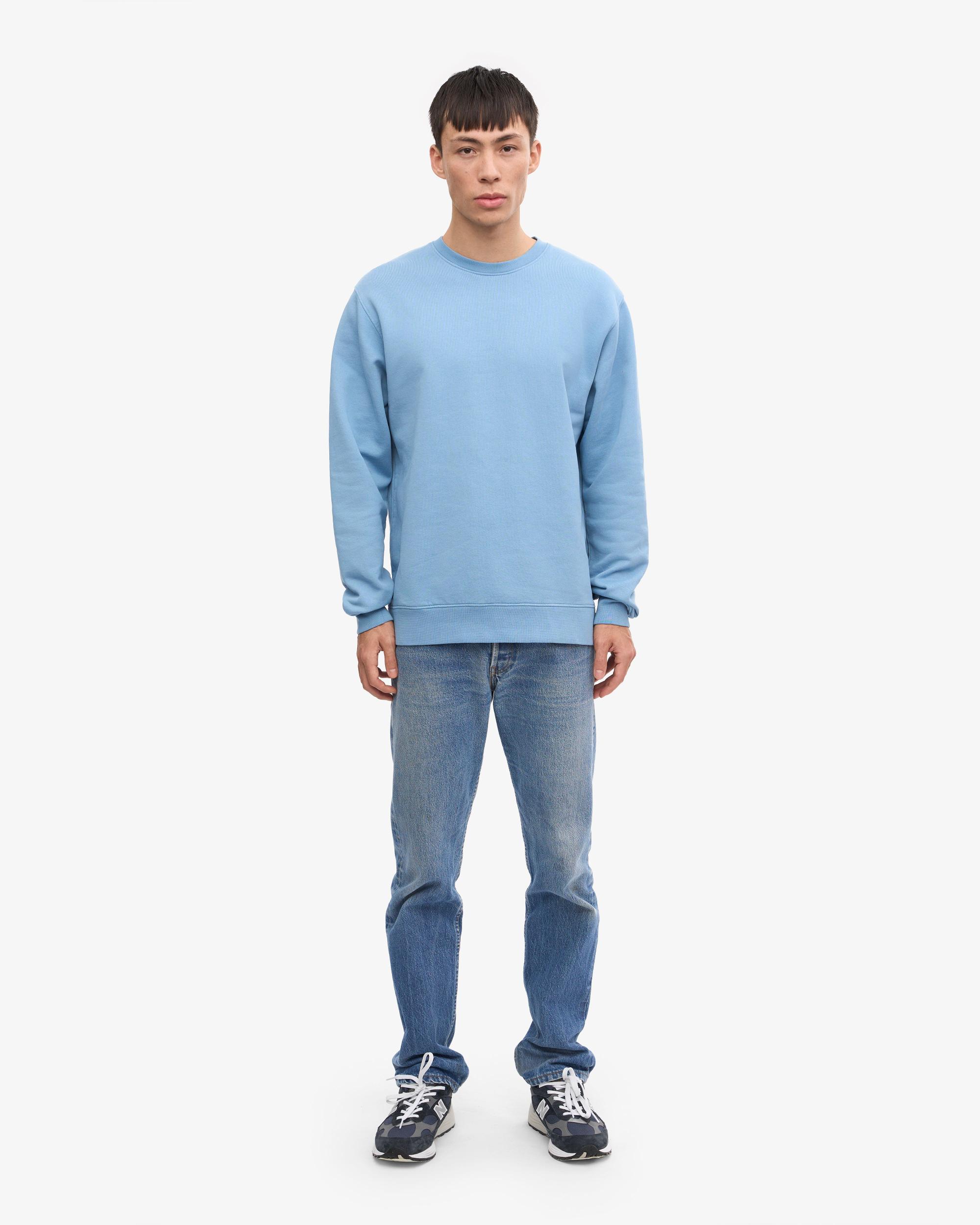 Classic Organic Crew - Coffee Brown Product Image