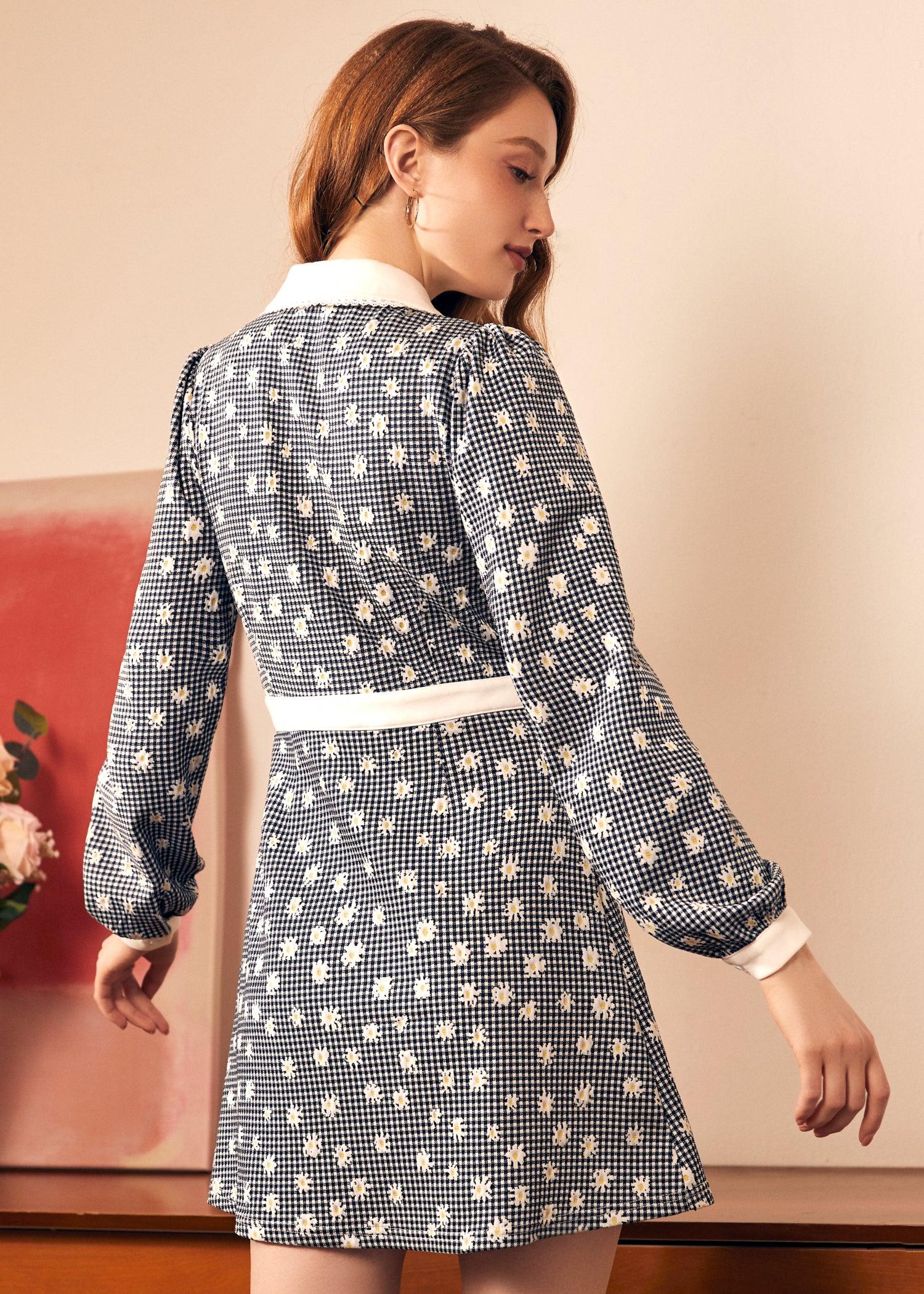 Joyful Journey Dress Product Image