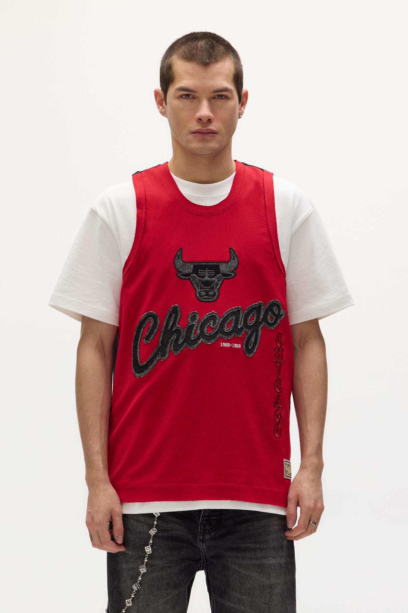 Chicago Bulls Mesh Jersey Male Product Image