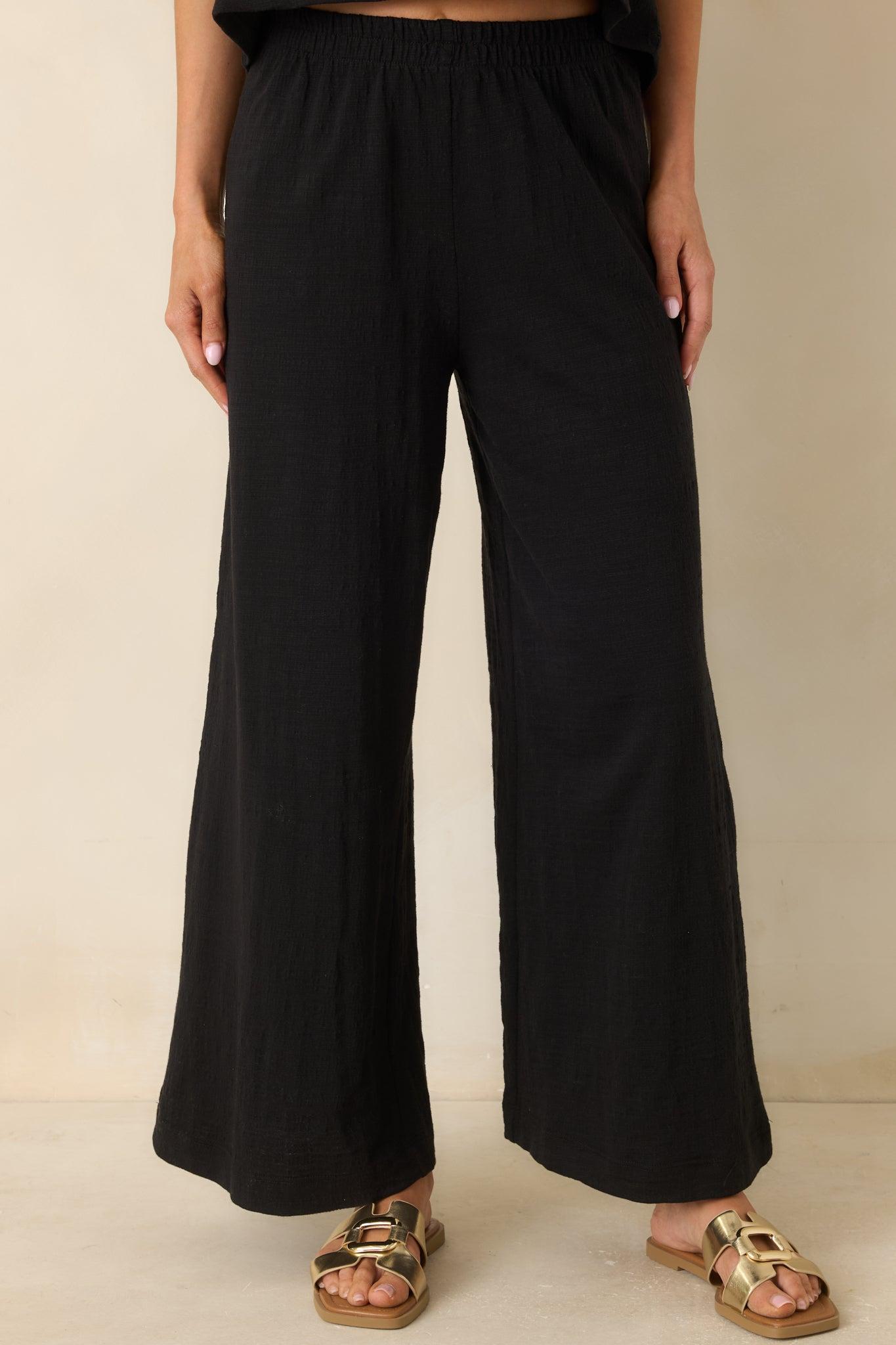 Z Supply Black Scout Textured Slub Pants Product Image