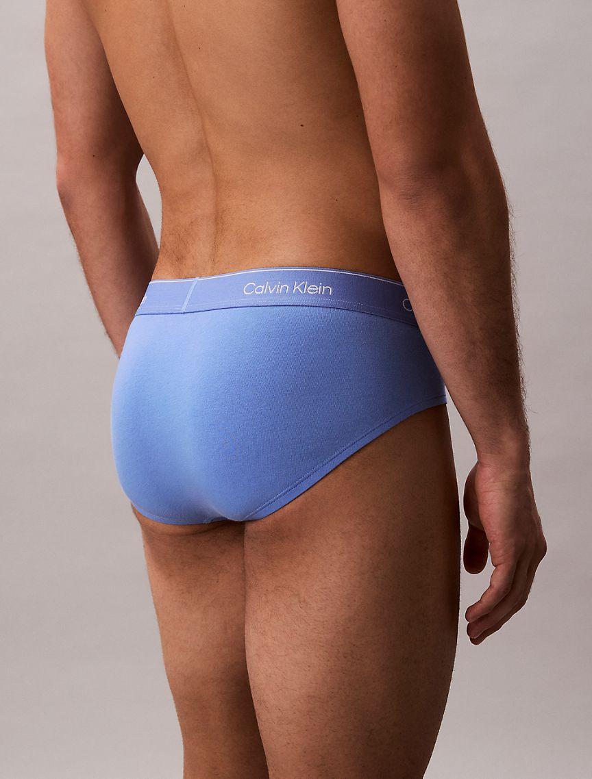 Icon Cotton Stretch Pride 5-Pack Hip Brief Product Image