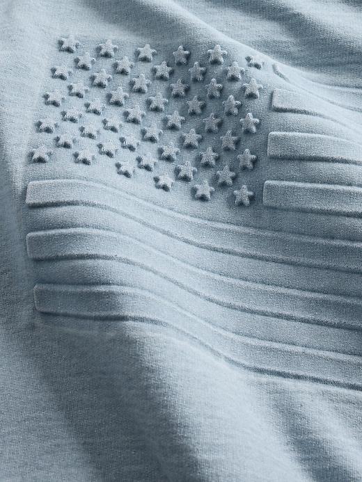 French Terry Americana Cropped Hoodie Product Image