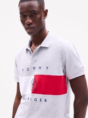 Regular Fit Flag Stripe Polo Product Image