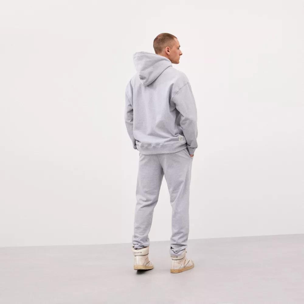 Hoodie With Flower Pot Print Product Image