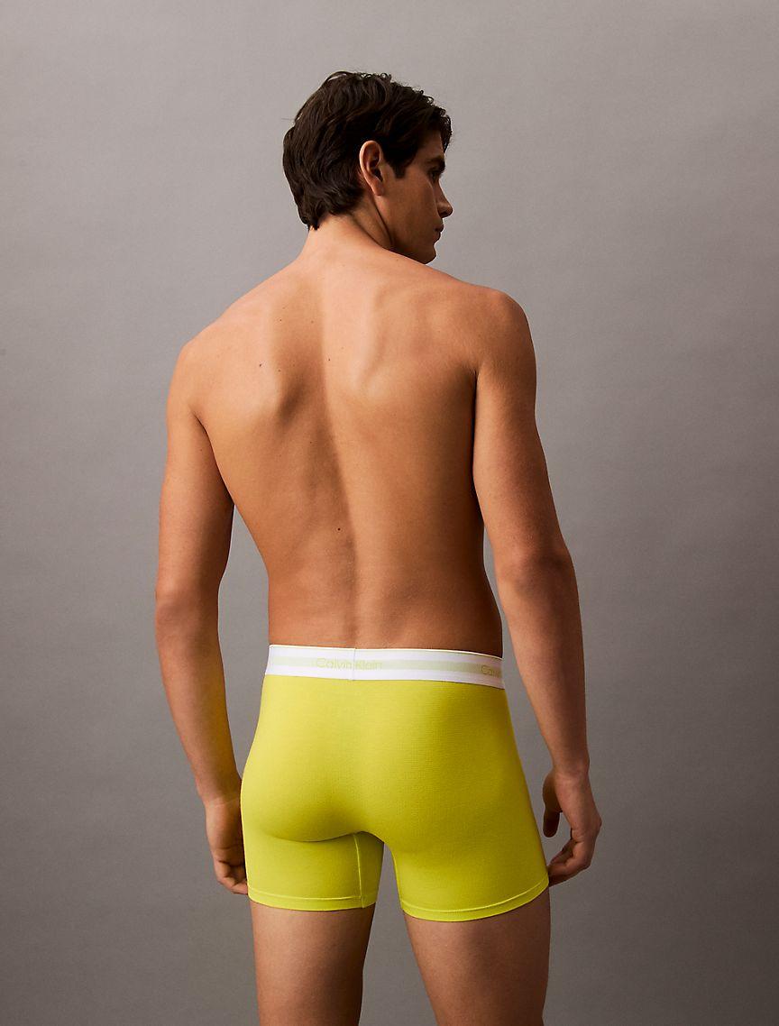 Icon Modal Mesh 3-Pack Boxer Brief Product Image