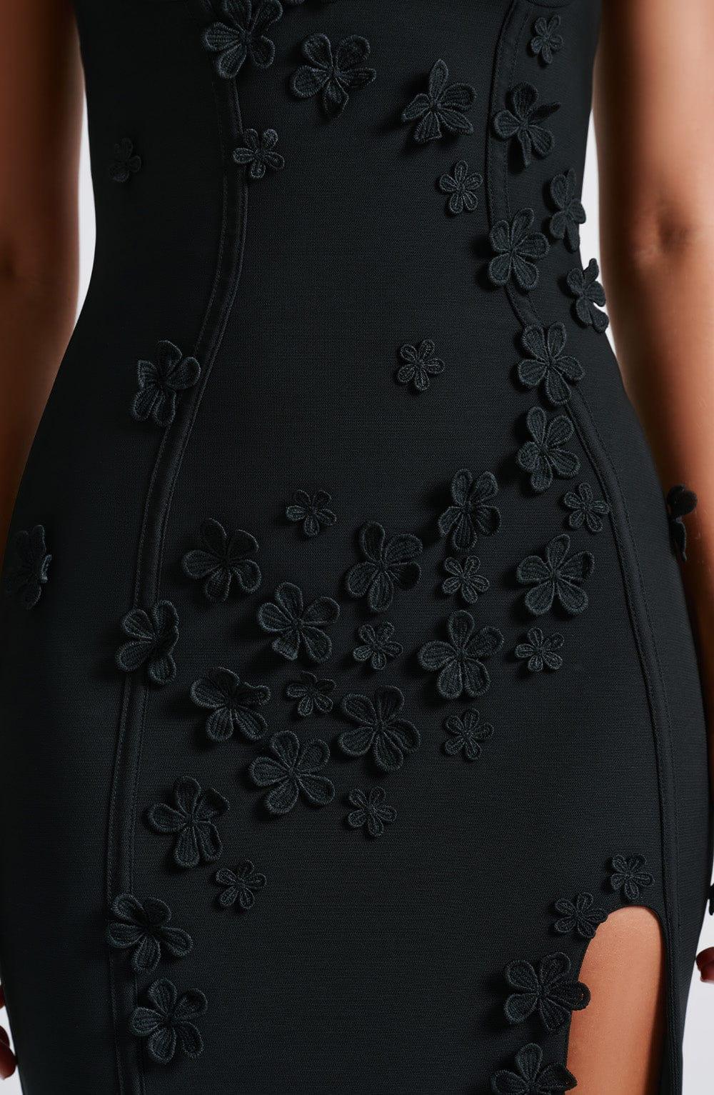 Dalary Maxi Dress - Black Lined Product Image