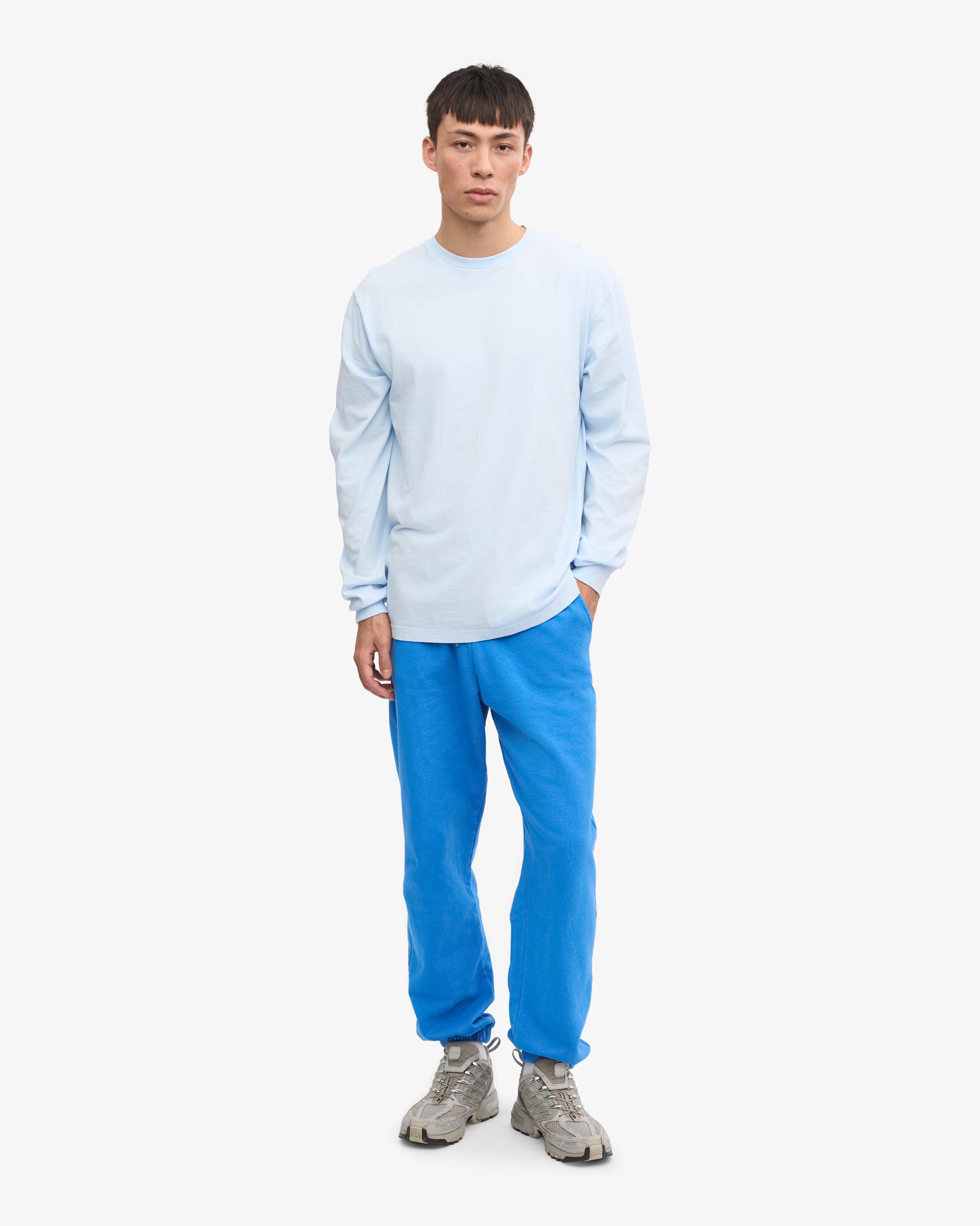 Oversized Organic LS T-Shirt - Polar Blue Product Image