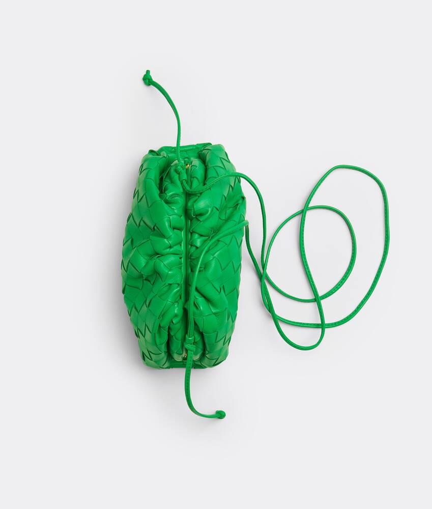 Mini Pouch in Parakeet Product Image