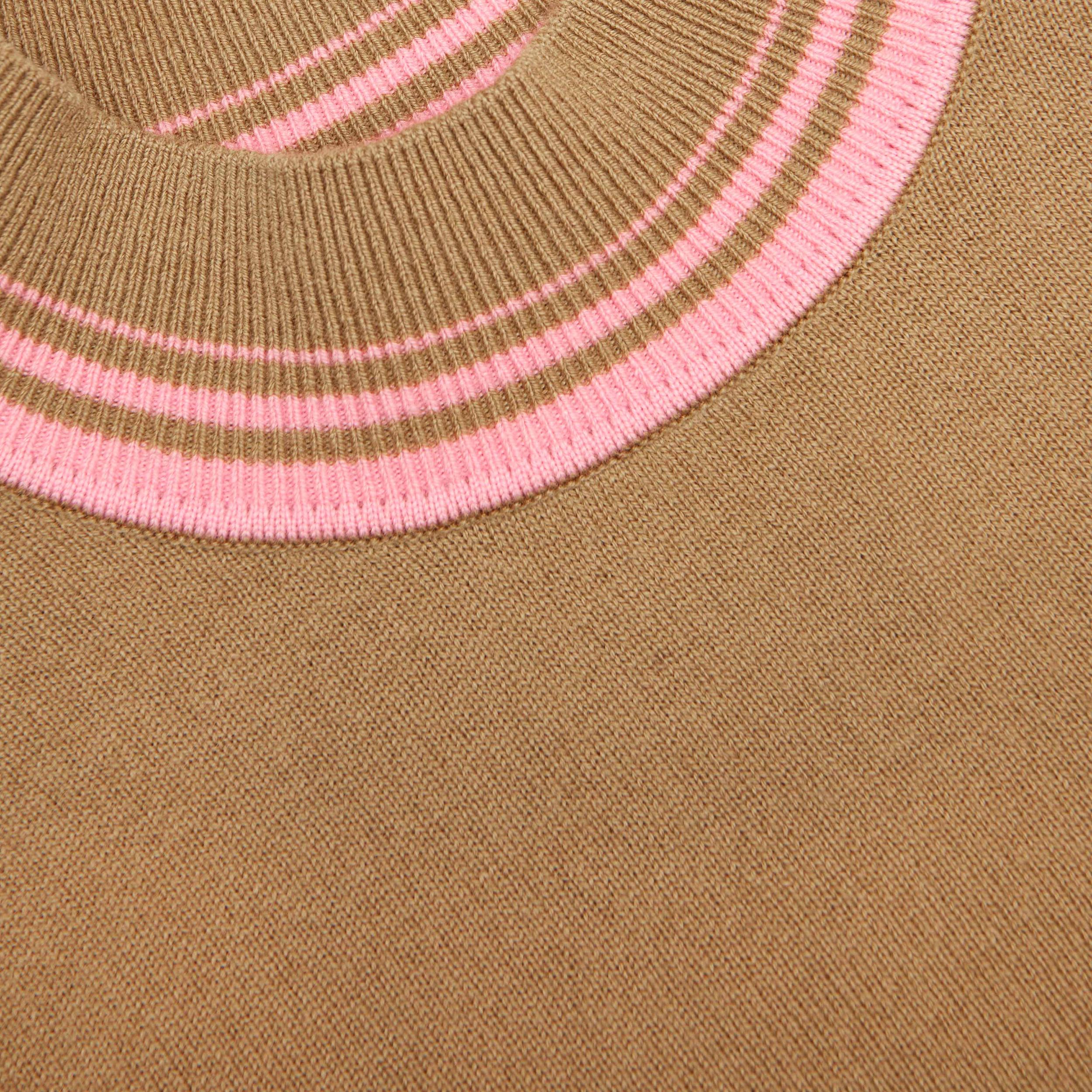 Brown Contrast Stripe Knit Top Product Image