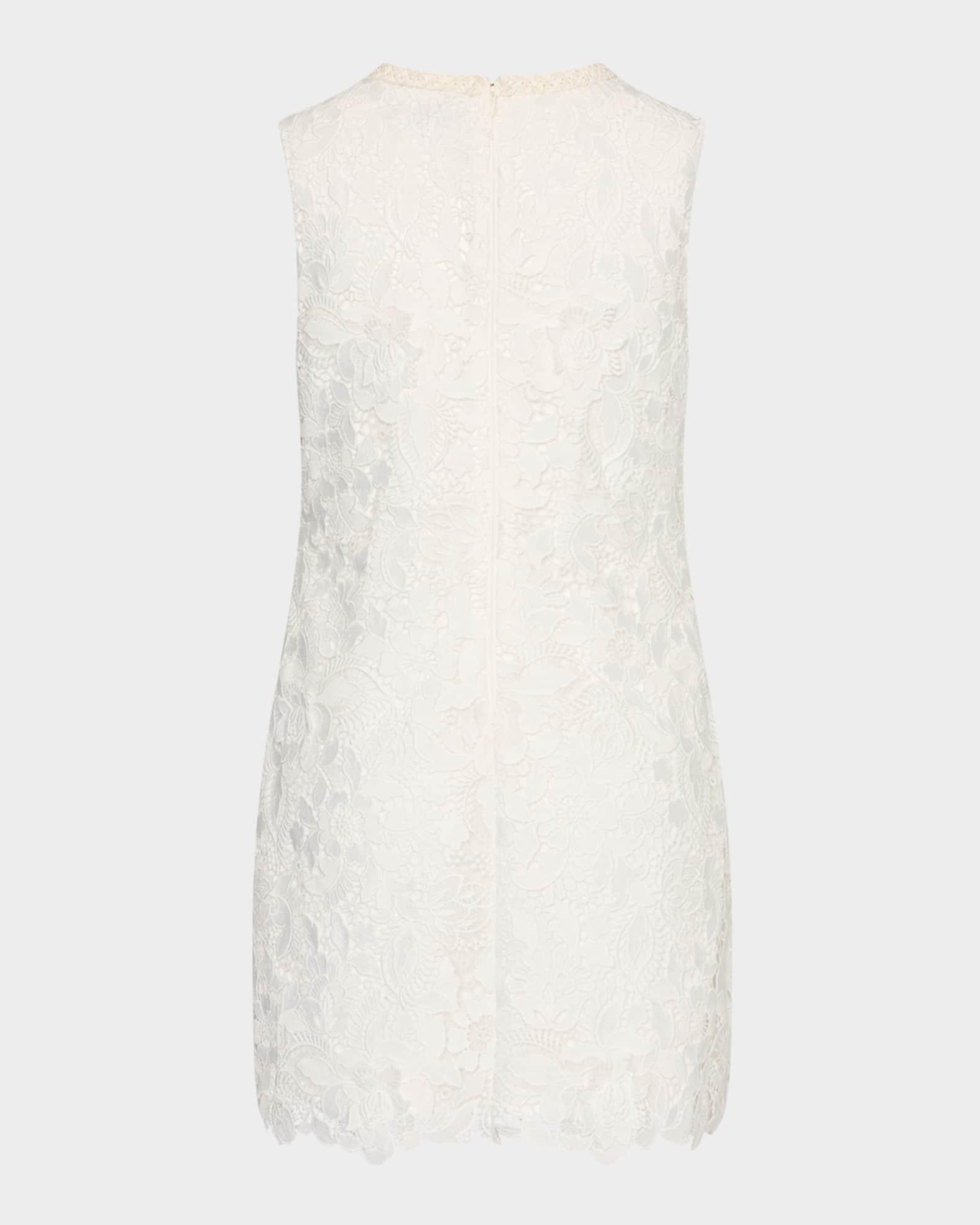 3D Garden Lace Mini Dress Product Image