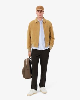 Regular Fit Striped Oxford Shirt Product Image