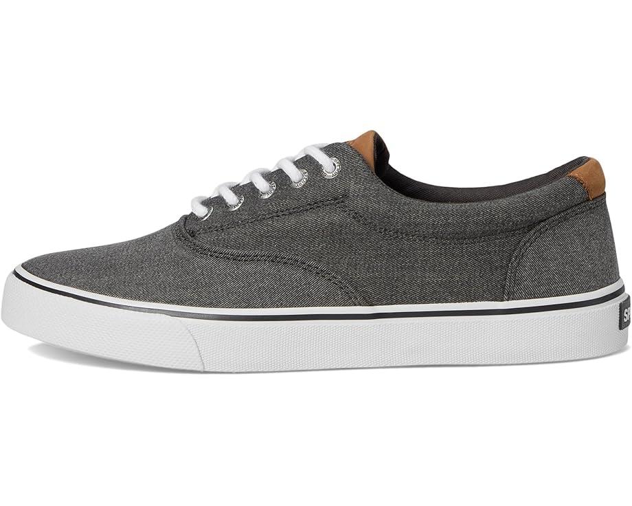 CVO Canvas Product Image