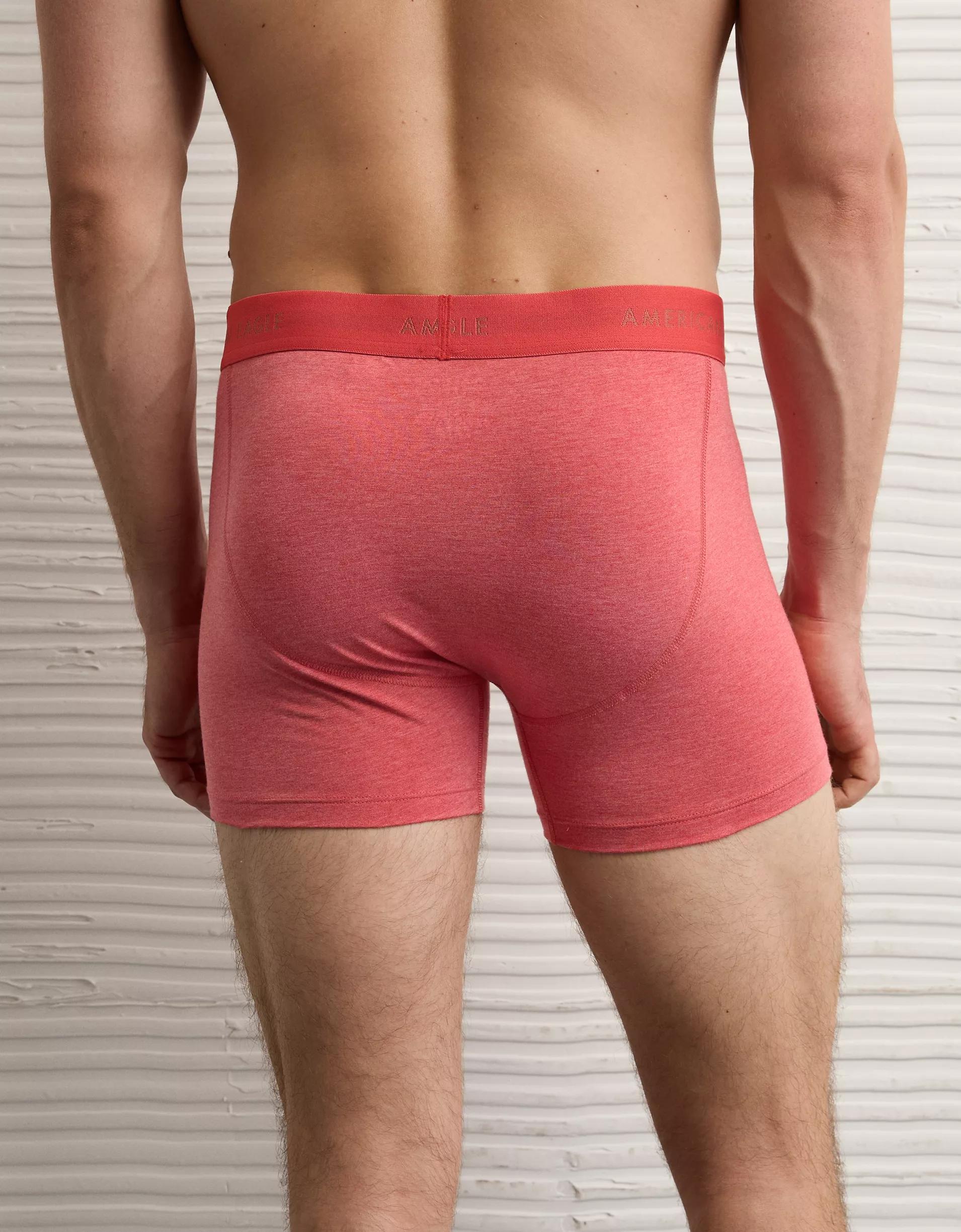 AEO Men's 4.5" Classic Boxer Brief Product Image