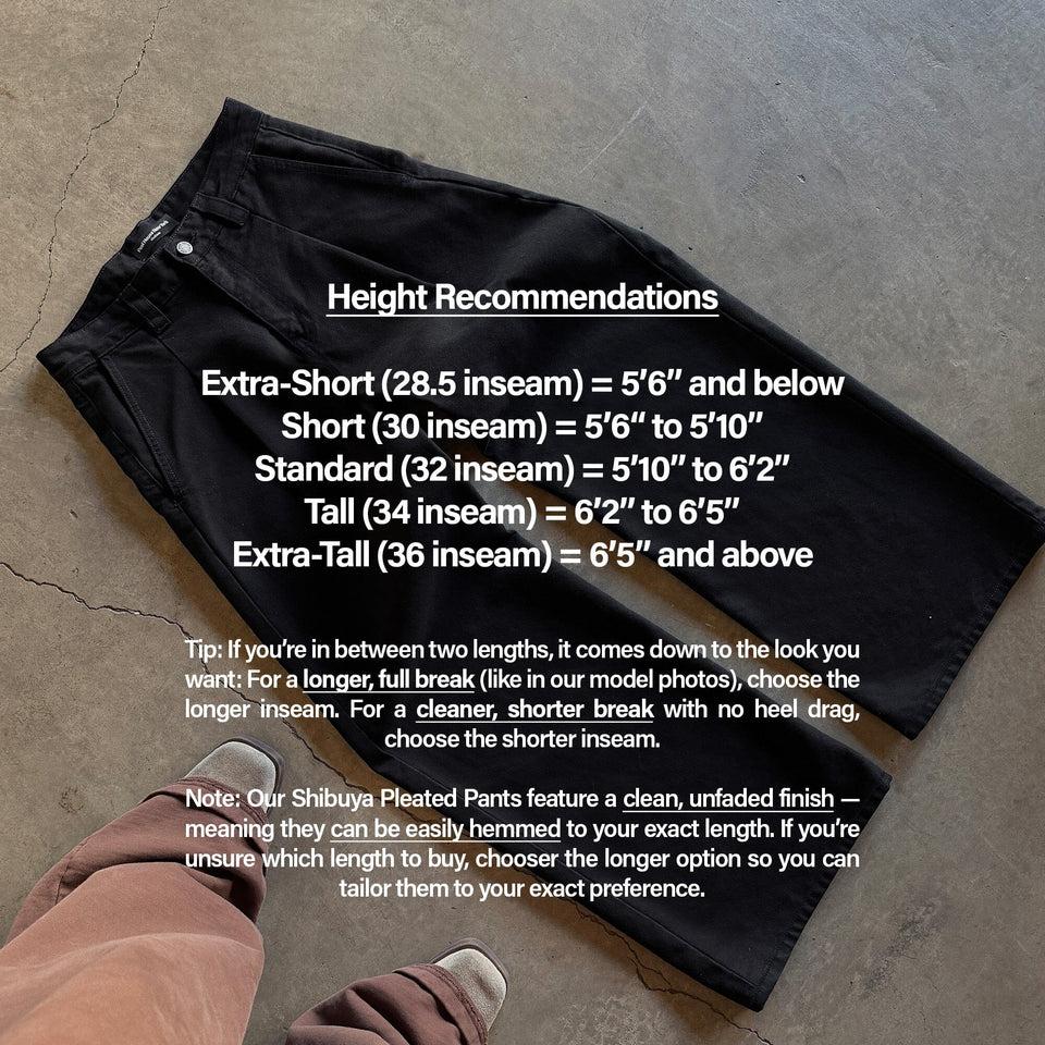 Shibuya Pleated Pants | Baggy, Wide-Leg Product Image