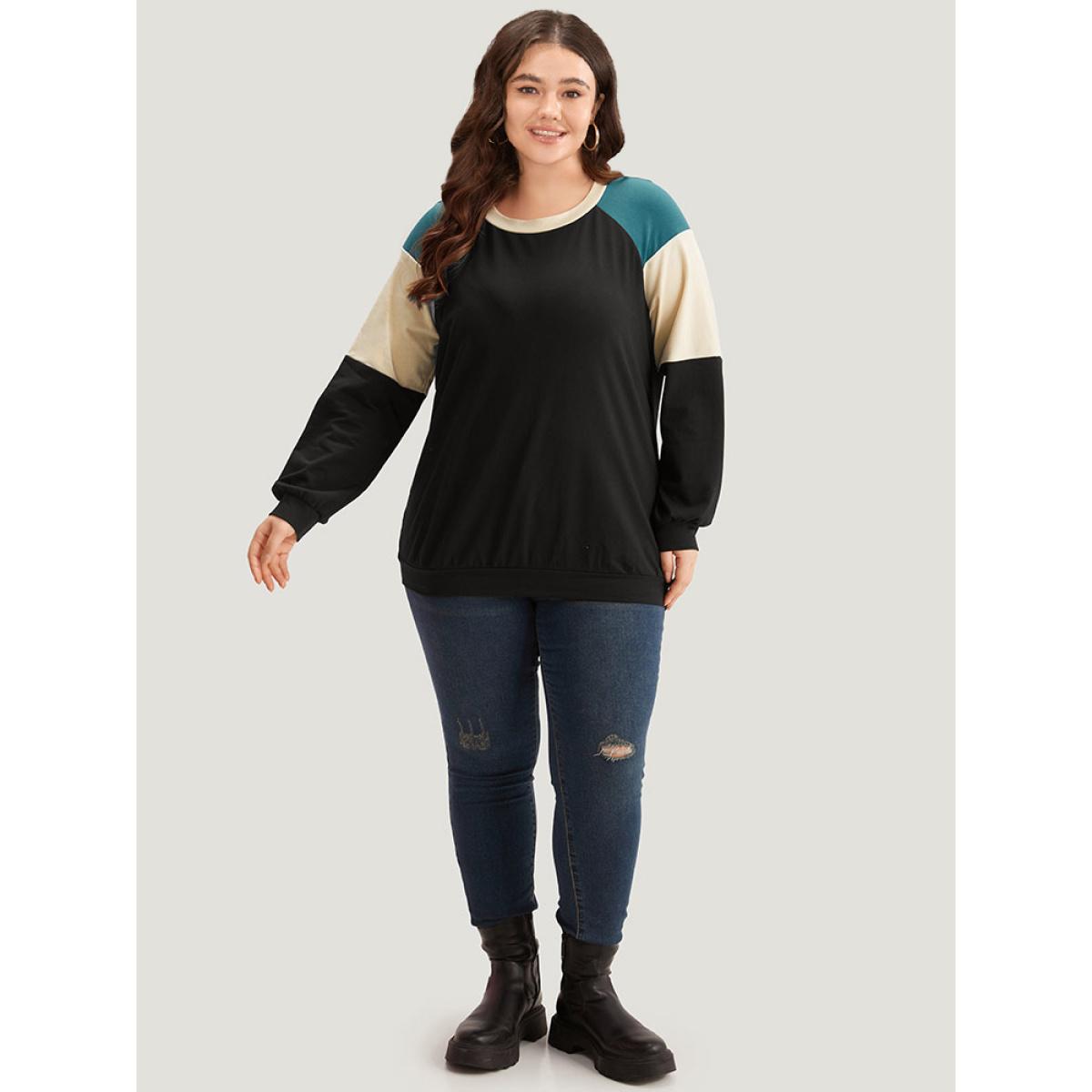 Plus Size Colorblock Contrast Raglan Sleeve Sweatshirt Women Black Casual Elastic cuffs Round Neck Dailywear Sweatshirts BloomChic 26/4X Product Image