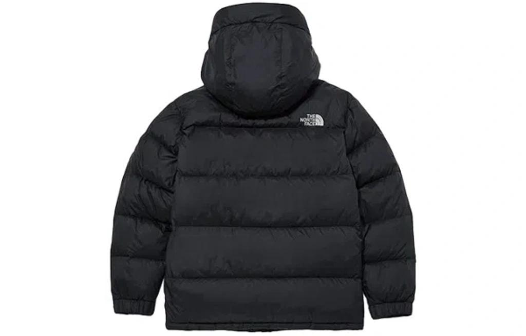 THE NORTH FACE Lightweight Insulated Down Jacket With High Collar In Black Product Image
