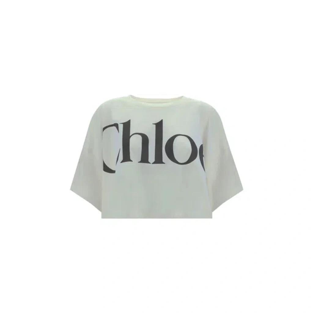 CHLOÉ White Cropped Crewneck T-shirt With Maxi Logo Print On The Front In Cotton Woman In Multicolor Product Image