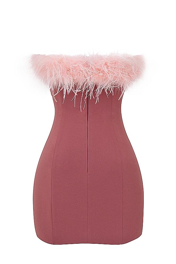 Alexa  warm pink mini dress - sale Product Image