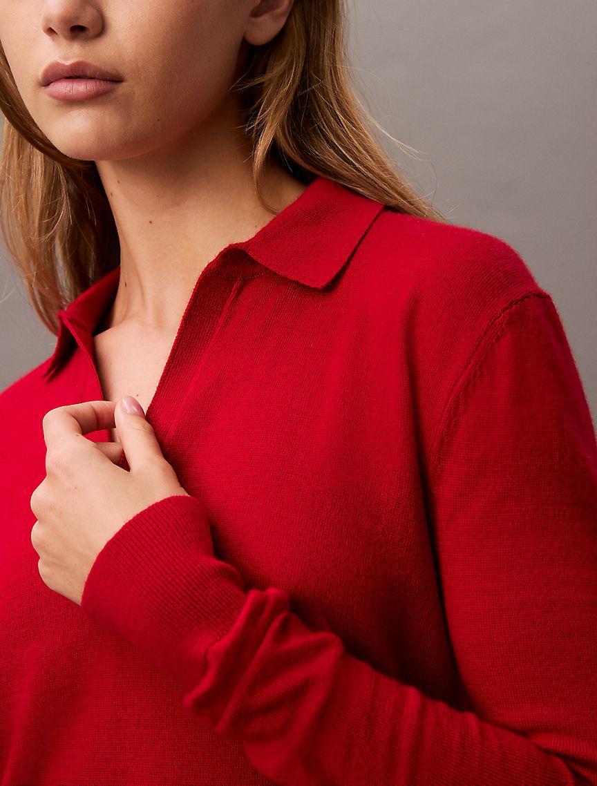 Extra Fine Merino Blend Polo Sweater Product Image