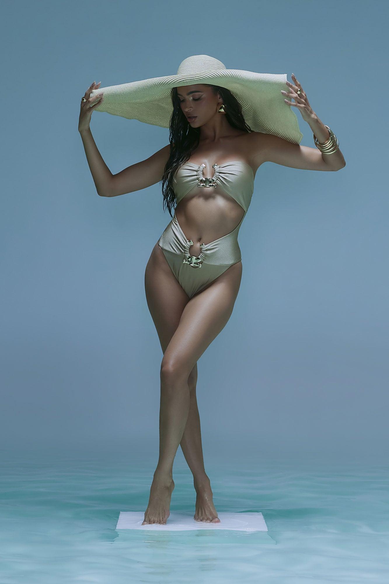 Farrah Hardware 1 Piece Bandeau Swimsuit - Mocha Product Image