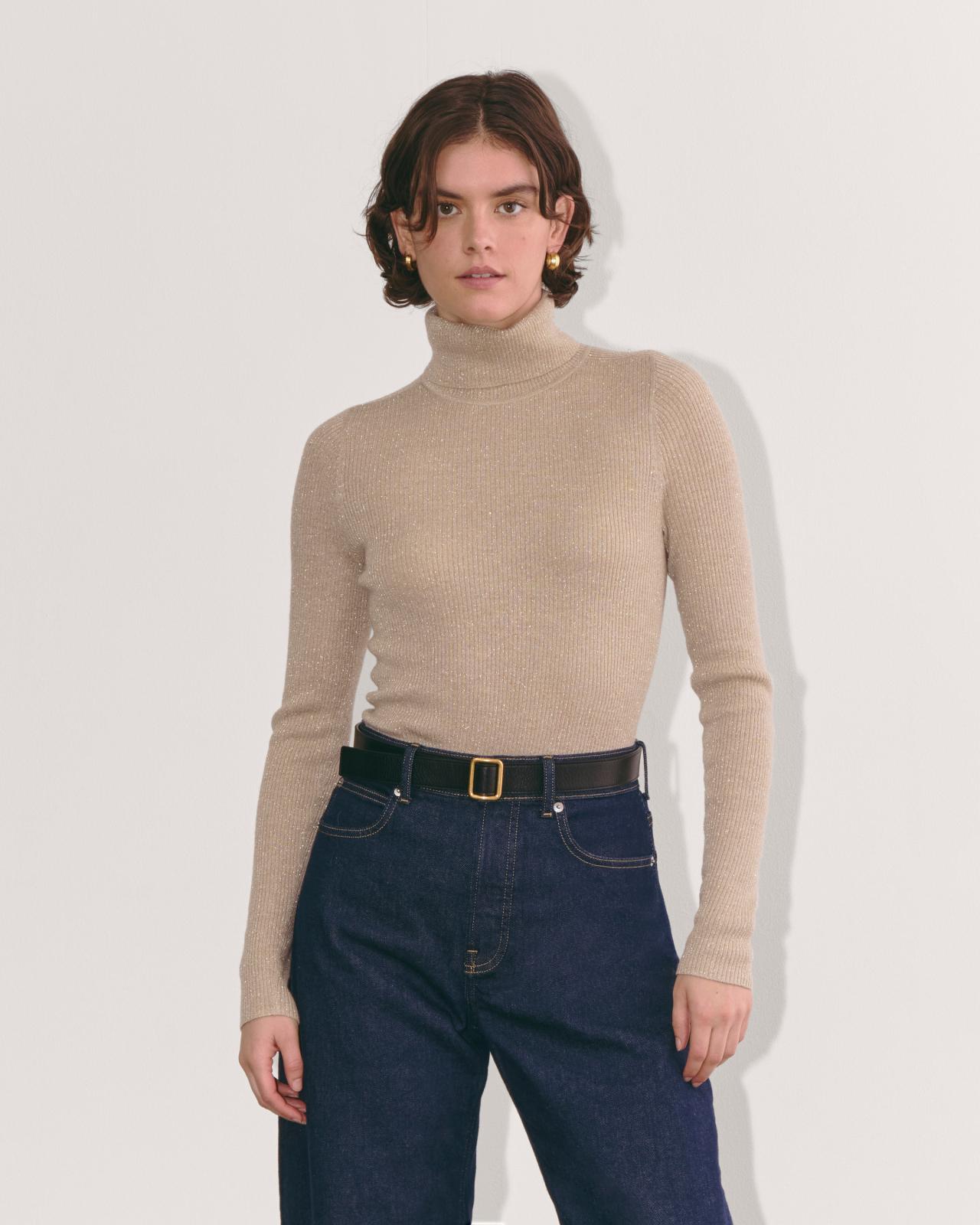 Womens Turtleneck in Lurex Merino Sweater by Everlane Product Image