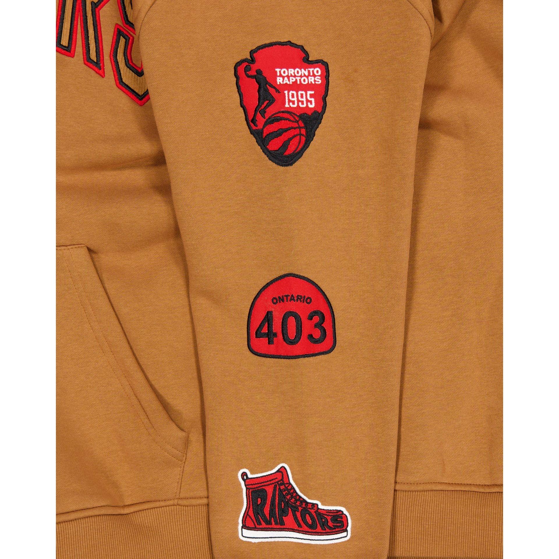 Toronto Raptors 2025 All-Star Game Victory Grove Light Bronze Hoodie Male Product Image
