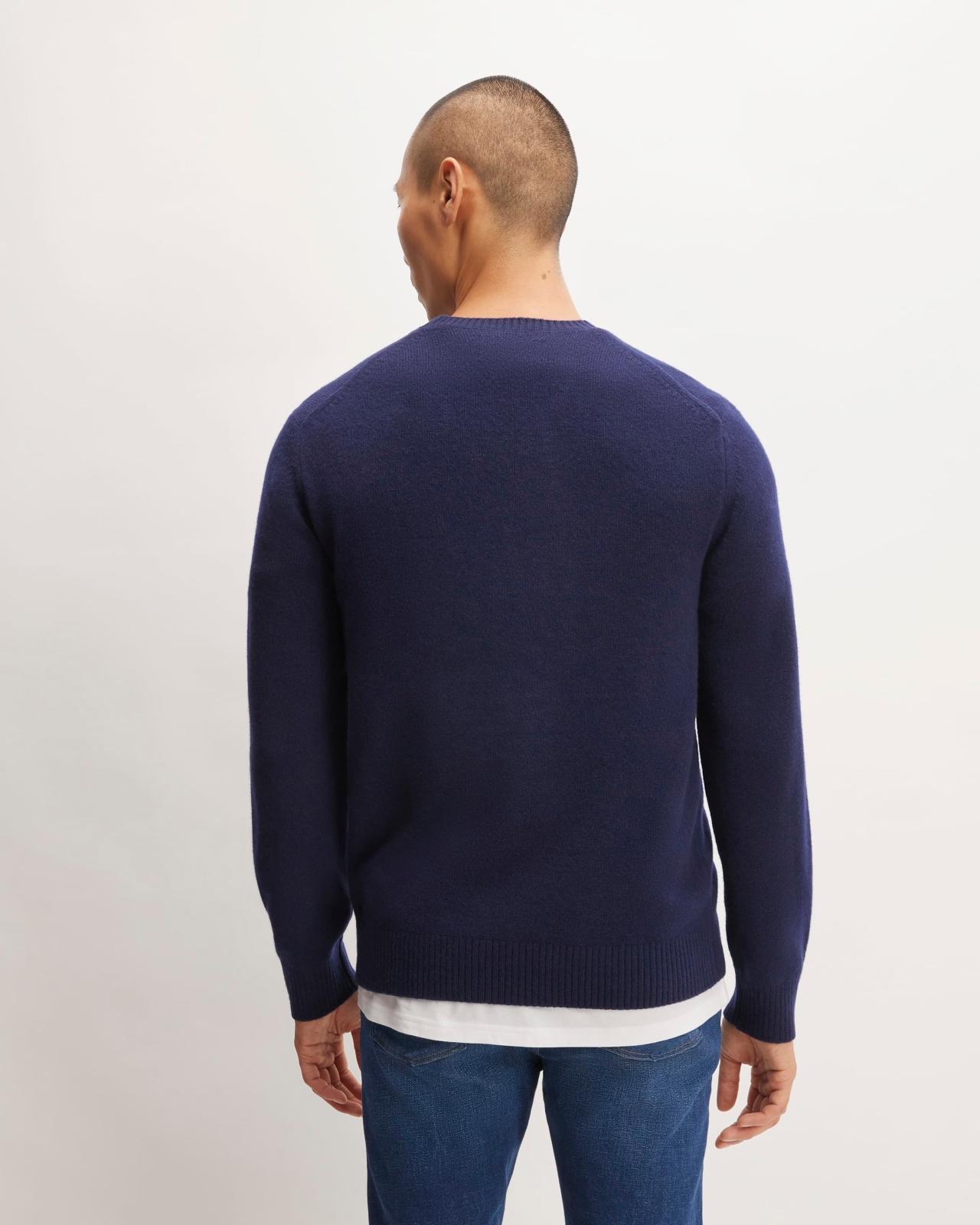 Mens Premium Merino Crew Neck Sweater by Everlane Product Image