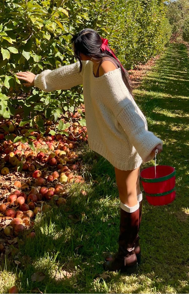 Delvey Cream Chunky Knit Sweater Product Image