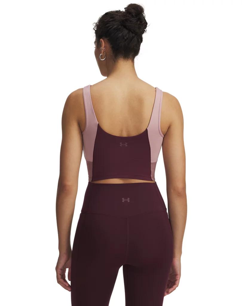 UA Meridian Colorblock Product Image