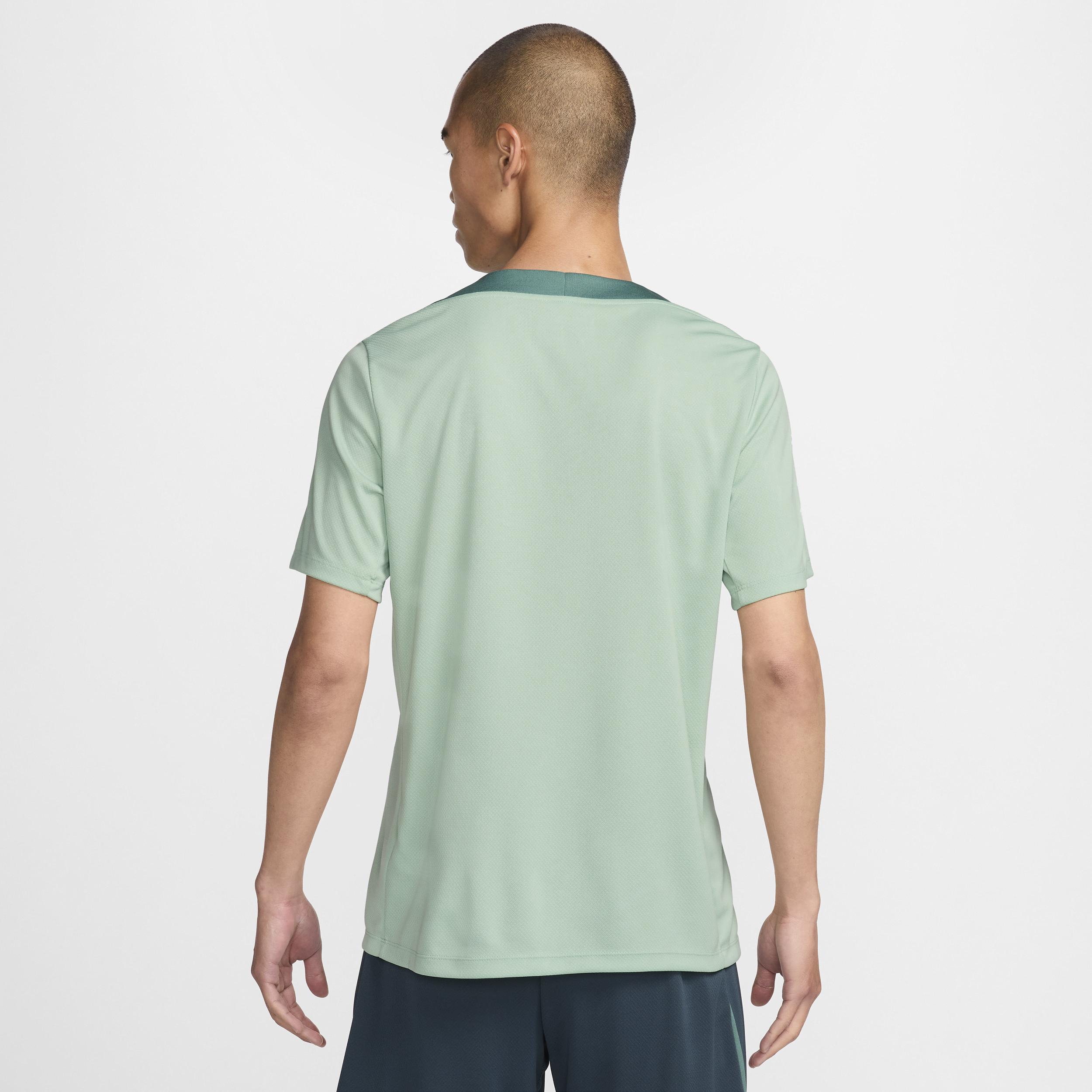 Men's Nike Green Tottenham Hotspur 2024 Third Strike Performance Top,  Product Image