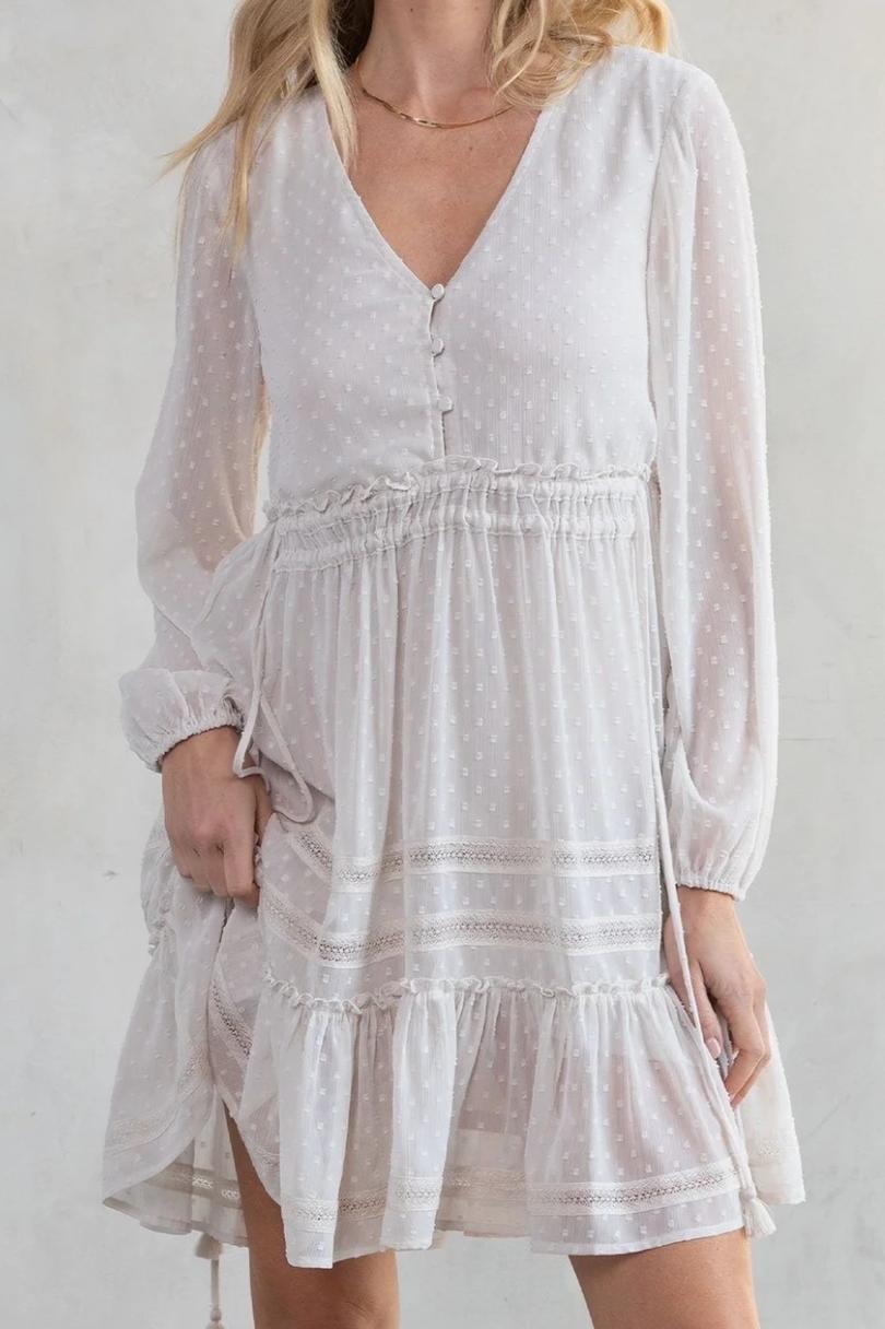 Dreamy Sheer Swiss Dot Long Sleeve Mini Dress Product Image