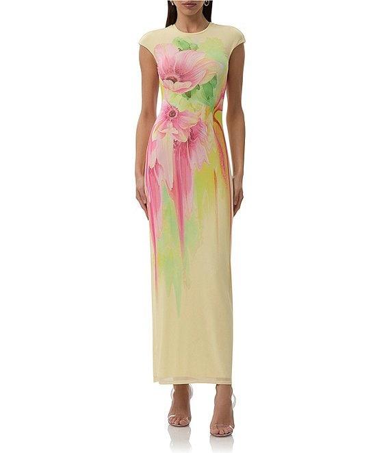 AFRM Cody Floral Print Crew Neck Cap Sleeve Mesh Maxi Dress Product Image