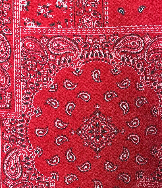 Honey & Sparkle Bandana Printed Strapless Tie Back Pointed Hem Top Product Image