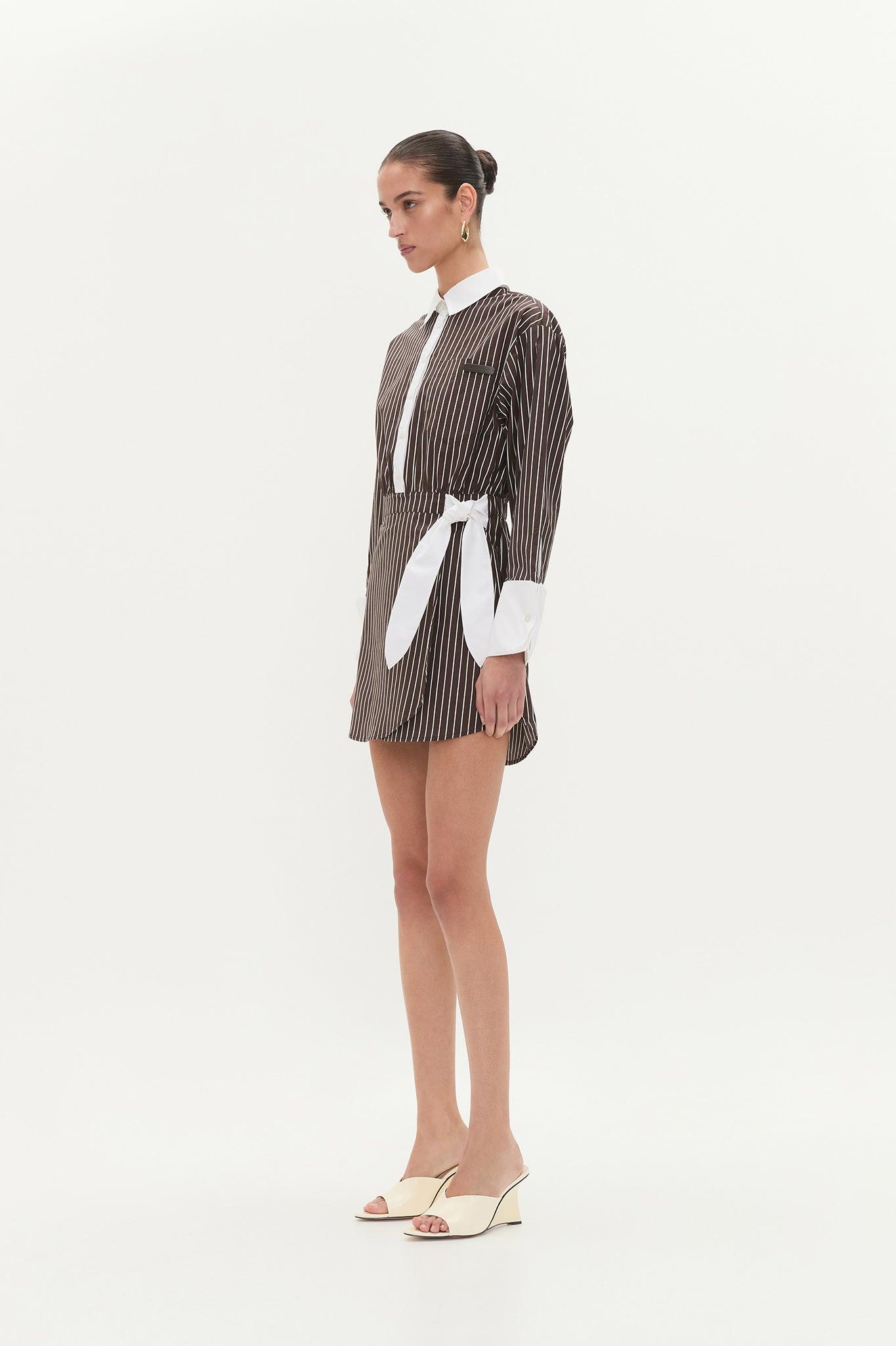Palmer Striped Shirt Dress Product Image